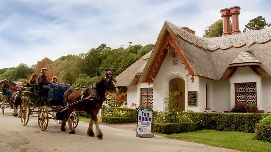 killarney jaunting car